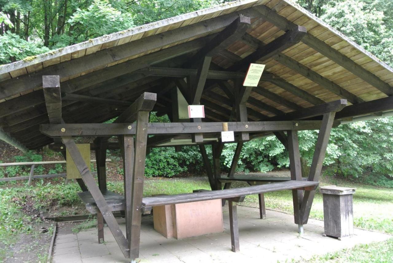 Ferienwohnung Terrassenhaus Waldblick 637 Hohegeiß Exterior foto